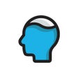 Ícone do programa: Pool Brain