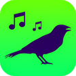 Ícone do programa: All Birds of North Americ…