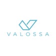 Programın simgesi: Valossa