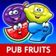 Pub Fruits by Reflex icon