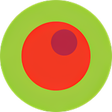 プログラムのアイコン：Брусника