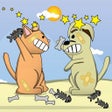 Programikonen: Cat vs. Dog