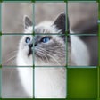 プログラムのアイコン：Magic Puzzle Animal