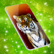 Ikona programu: Tiger Live Wallpapers