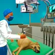 Pet Hospital - Doctor Games