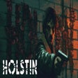 Icoon van programma: Holstin