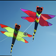程序图标：Kite design