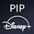 程序图标：Disney+ PIP