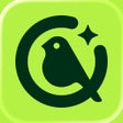 Ícone do programa: Kiwibit