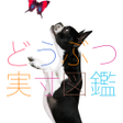 Icon of program: どうぶつ実寸図鑑
