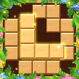 Иконка программы: Block Puzzle:Wooden Tetri…
