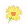 Daisys Lunchbox icon