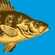 WI Fish ID