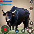 The cretan bull and cow attack