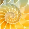 Ikon program: Spiraling Fractals PREMIU…