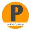 Icon of program: PINKI VIP 5G UDP VPN