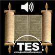 Icon of program: Hebrew Bible Reader