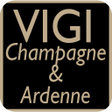 プログラムのアイコン: VigiCA