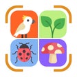 プログラムのアイコン：Identify Insects Plants B…