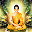 プログラムのアイコン：Buddha Quotes - बदध क वचर
