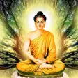 Buddha Quotes - बदध क वचर