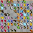 Ikon program: Butterfly Kyodai