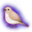 Иконка программы: Nightingale