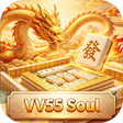 프로그램 아이콘: VV55Soul