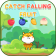 Ícone do programa: Catch Falling Fruit