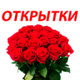 Иконка программы: Поздравления на все случа…