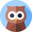 Wise Owl icon