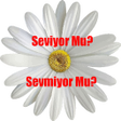 أيقونة البرنامج: Seviyor Sevmiyor Testi Oy…