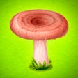 أيقونة البرنامج: Forest Clans