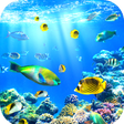 Icon of program: Aquarium Wallpaper HD