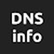 Biểu tượng của chương trình: DNSinfo.xyz Extension