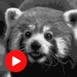 Icoon van programma: Sandbox Streams