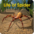 Ícone do programa: Life of Spider