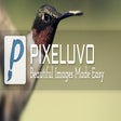 程序图标：Pixeluvo