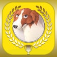 أيقونة البرنامج: 旧版書籍用ターゲットの友1000　英熟語アプリ
