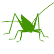 Symbol des Programms: Orthoptera