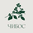 Ikon program: CHIBOS