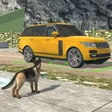 Ikon program: Police on Border - Car Ch…