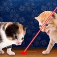 أيقونة البرنامج: Laser Pointer for Cat