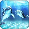 Icon of program: Dolphins Live Wallpaper