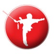 Programın simgesi: Wushu Central