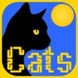 Programikonen: PathPix Cats