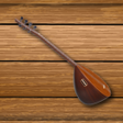程序图标：Baglama Pro