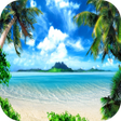 程序图标：Paradise Live Wallpaper 4…
