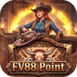 程序图标：FV88Point