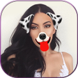 Icon of program: Animal Face Swap Cute Sti…